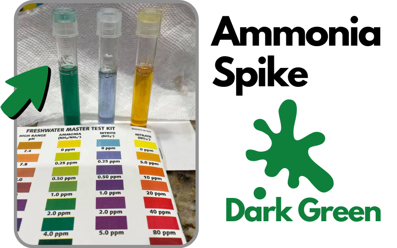 Ammonia Spike in Aquarium Nitrogen cycle