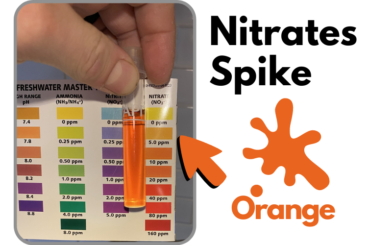Nitrates Spike in Aquarium Nitrogen cycle