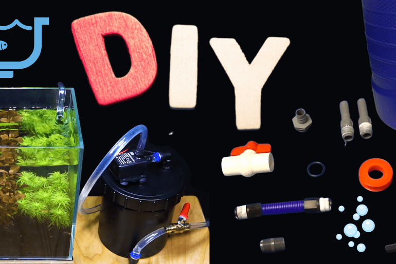 DIY Canister Filter Ideas for aquariums