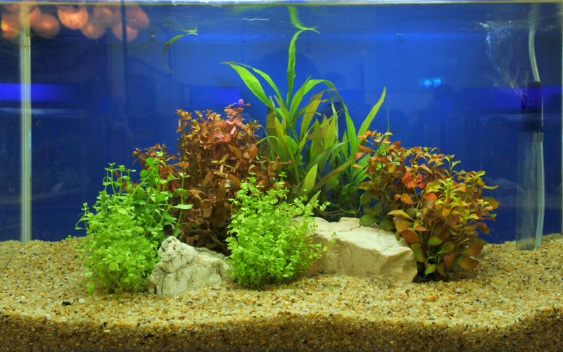 Aquarium Substrate