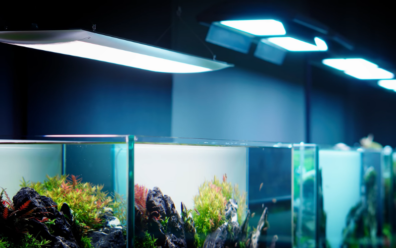 Hanging type aquarium lights