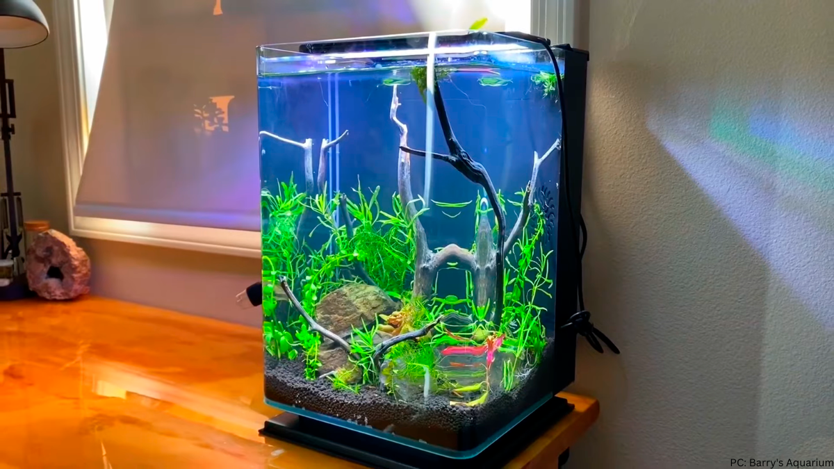 Marineland 5 Gallon Portrait Glass LED Aquarium Review