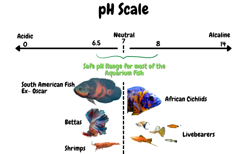 Aquarium pH Scale
